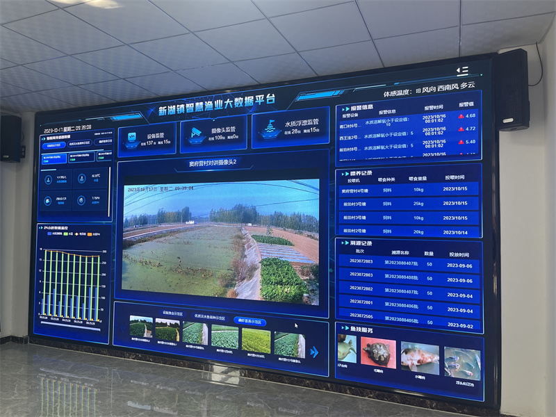 特色产业效益高、托管服务带动强 泰安农业农村重点项目绘就乡村振兴新图景